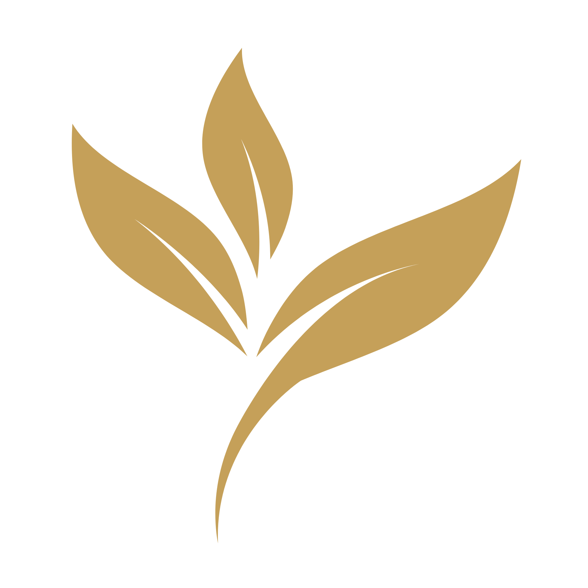 Herbarium Prints logo